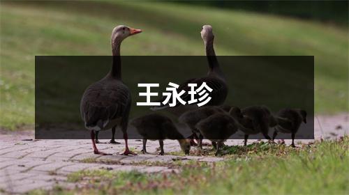 王永珍