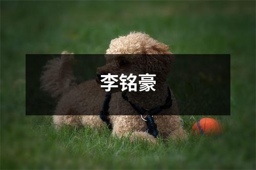 李铭豪