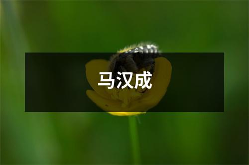 马汉成