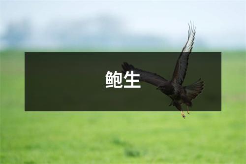 鲍生
