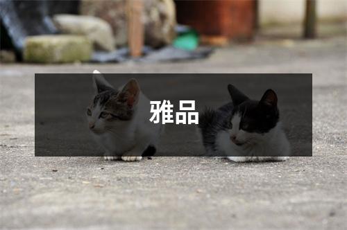 雅品