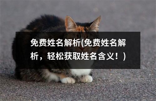 免费姓名解析(免费姓名解析，轻松获取姓名含义！)