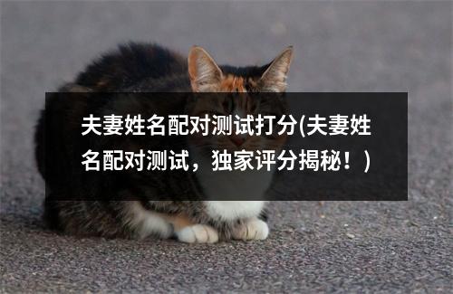 夫妻姓名配对测试打分(夫妻姓名配对测试，独家评分揭秘！)