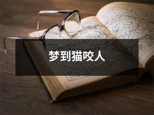 梦到猫咬人