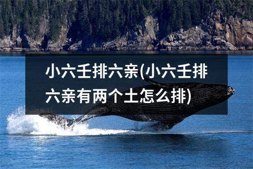 小六壬排六亲(小六壬排六亲有两个土怎么排)
