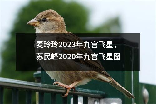 麦玲玲2023年九宫飞星，苏民峰2020年九宫飞星图