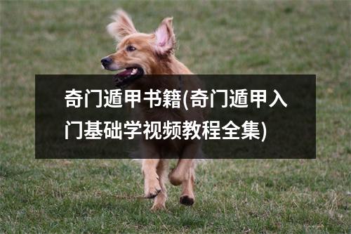 奇门遁甲书籍(奇门遁甲入门基础学教程全集)