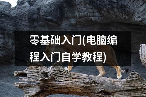 零基础入门(电脑编程入门自学教程)