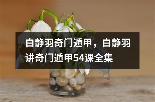 白静羽奇门遁甲，白静羽讲奇门遁甲54课全集