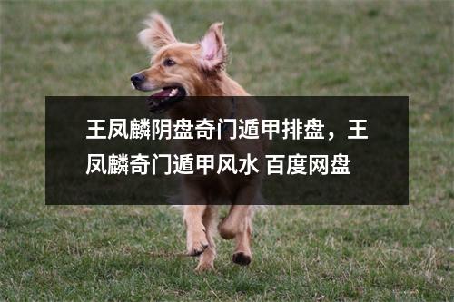 王凤麟阴盘奇门遁甲排盘，王凤麟奇门遁甲风水
