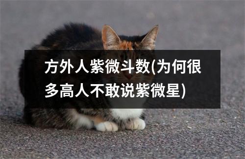 方外人紫微斗数(为何很多高人不敢说紫微星)