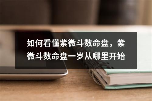 如何看懂紫微斗数命盘，紫微斗数命盘一岁从哪里开始