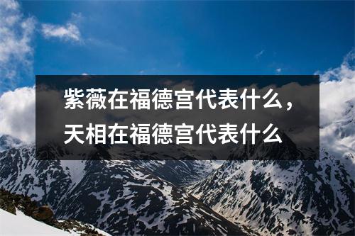 紫薇在福德宫代表什么，天相在福德宫代表什么