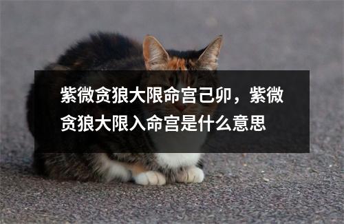 紫微贪狼大限命宫己卯，紫微贪狼大限入命宫是什么意思
