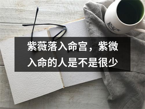 紫薇落入命宫，紫微入命的人是不是很少