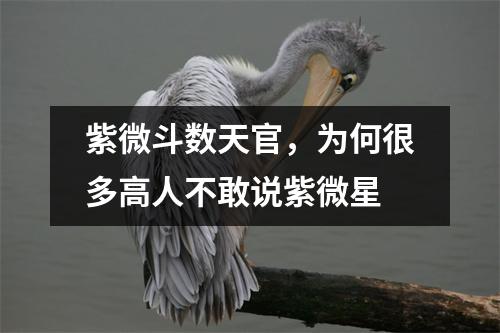 紫微斗数天官，为何很多高人不敢说紫微星
