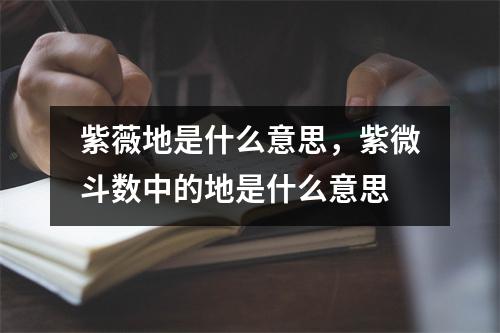 紫薇地是什么意思，紫微斗数中的地是什么意思