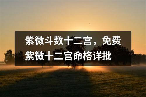 紫微斗数十二宫，免费紫微十二宫命格详批