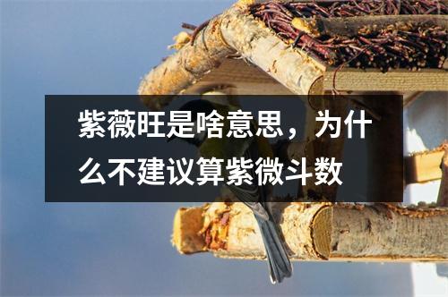 紫薇旺是啥意思，为什么不建议算紫微斗数
