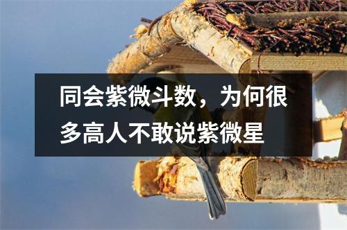 同会紫微斗数，为何很多高人不敢说紫微星