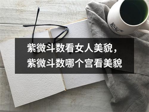 紫微斗数看女人美貌，紫微斗数哪个宫看美貌