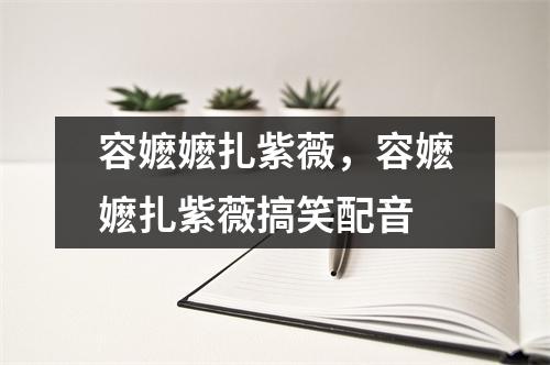 容嬷嬷扎紫薇，容嬷嬷扎紫薇搞笑配音