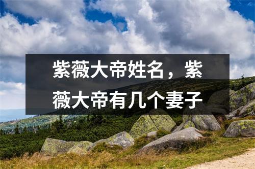 紫薇大帝姓名，紫薇大帝有几个妻子