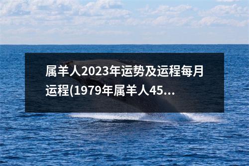 属羊人2023年运势及运程每月运程(1979年属羊人45岁大难)