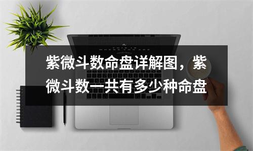 紫微斗数命盘详解图，紫微斗数一共有多少种命盘