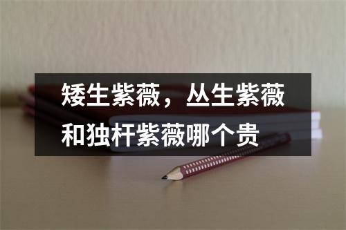 矮生紫薇，丛生紫薇和独杆紫薇哪个贵