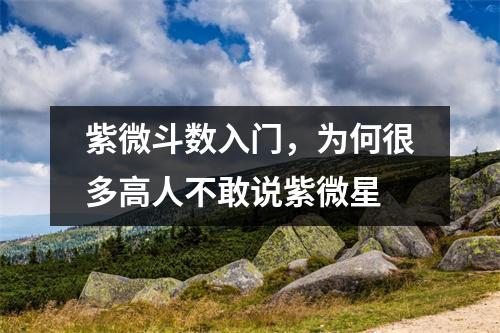 紫微斗数入门，为何很多高人不敢说紫微星