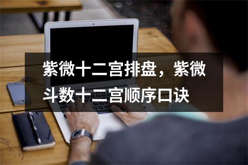 紫微十二宫排盘，紫微斗数十二宫顺序口诀