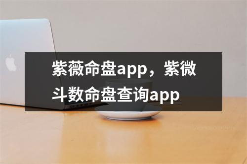 紫薇命盘，紫微斗数命盘查询