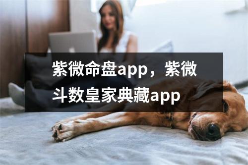 紫微命盘，紫微斗数皇家典藏