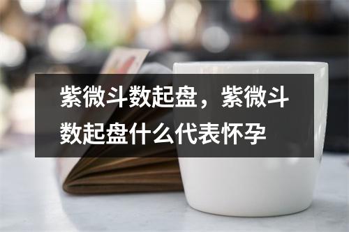 紫微斗数起盘，紫微斗数起盘什么代表怀孕