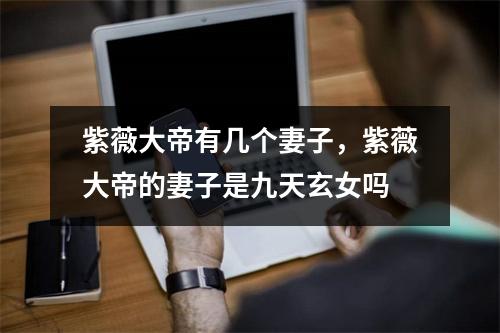 紫薇大帝有几个妻子，紫薇大帝的妻子是九天玄女吗