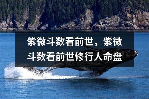 紫微斗数看前世，紫微斗数看前世修行人命盘