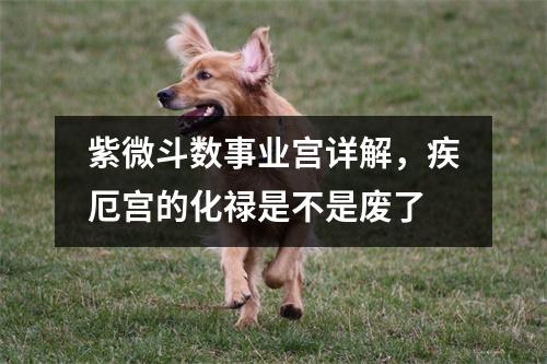 紫微斗数事业宫详解，疾厄宫的化禄是不是废了