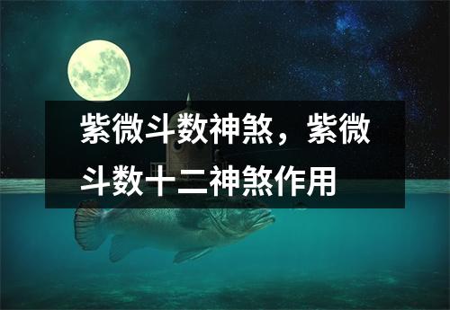 紫微斗数神煞，紫微斗数十二神煞作用