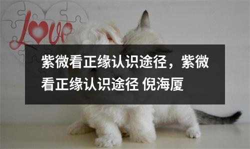 紫微看正缘认识途径，紫微看正缘认识途径 倪海厦