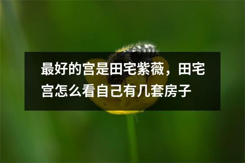 好的宫是田宅紫薇，田宅宫怎么看自己有几套房子
