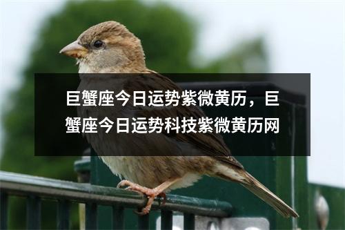 巨蟹座今日运势紫微黄历，巨蟹座今日运势科技紫微黄历网