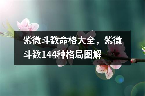 紫微斗数命格大全，紫微斗数144种格局图解