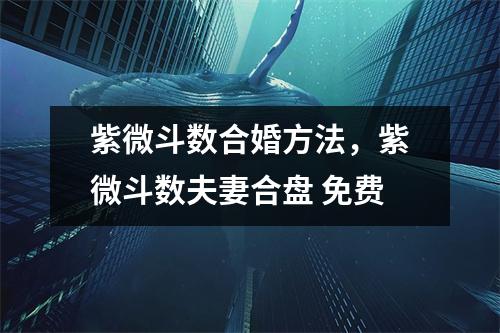紫微斗数合婚方法，紫微斗数夫妻合盘 免费