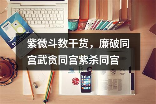 紫微斗数干货，廉破同宫武贪同宫紫杀同宫