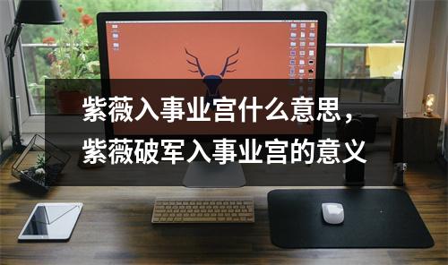 紫薇入事业宫什么意思，紫薇破军入事业宫的意义