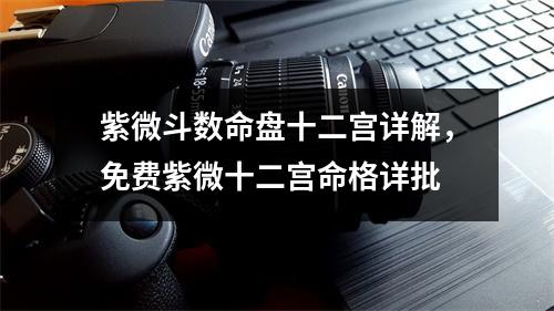 紫微斗数命盘十二宫详解，免费紫微十二宫命格详批