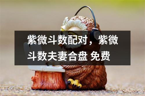 紫微斗数配对，紫微斗数夫妻合盘 免费