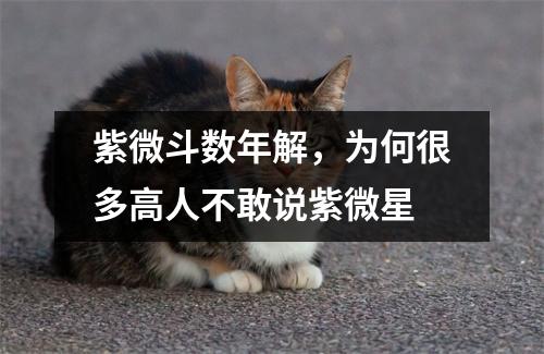 紫微斗数年解，为何很多高人不敢说紫微星