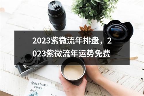 2023紫微流年排盘，2023紫微流年运势免费